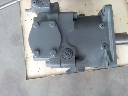 구부러기 및 회전 드릴링용 맞춤형 방사선 A11vlo 수압 기어 모터