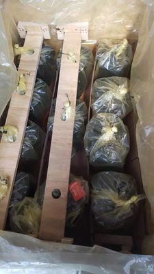 발굴기 건설 기계용 단일 실린더 A10vg28 수압 피스톤 펌프