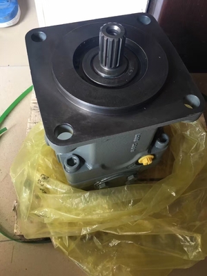 Cast Iron Hydraulic Piston Pump A11vo75 시리즈 펌프 사용자 정의 요구 사항